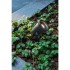 1004757 Proiector Samring 1xMax.7W GU10 Negru IP65 - 1004757 - 4024163249072